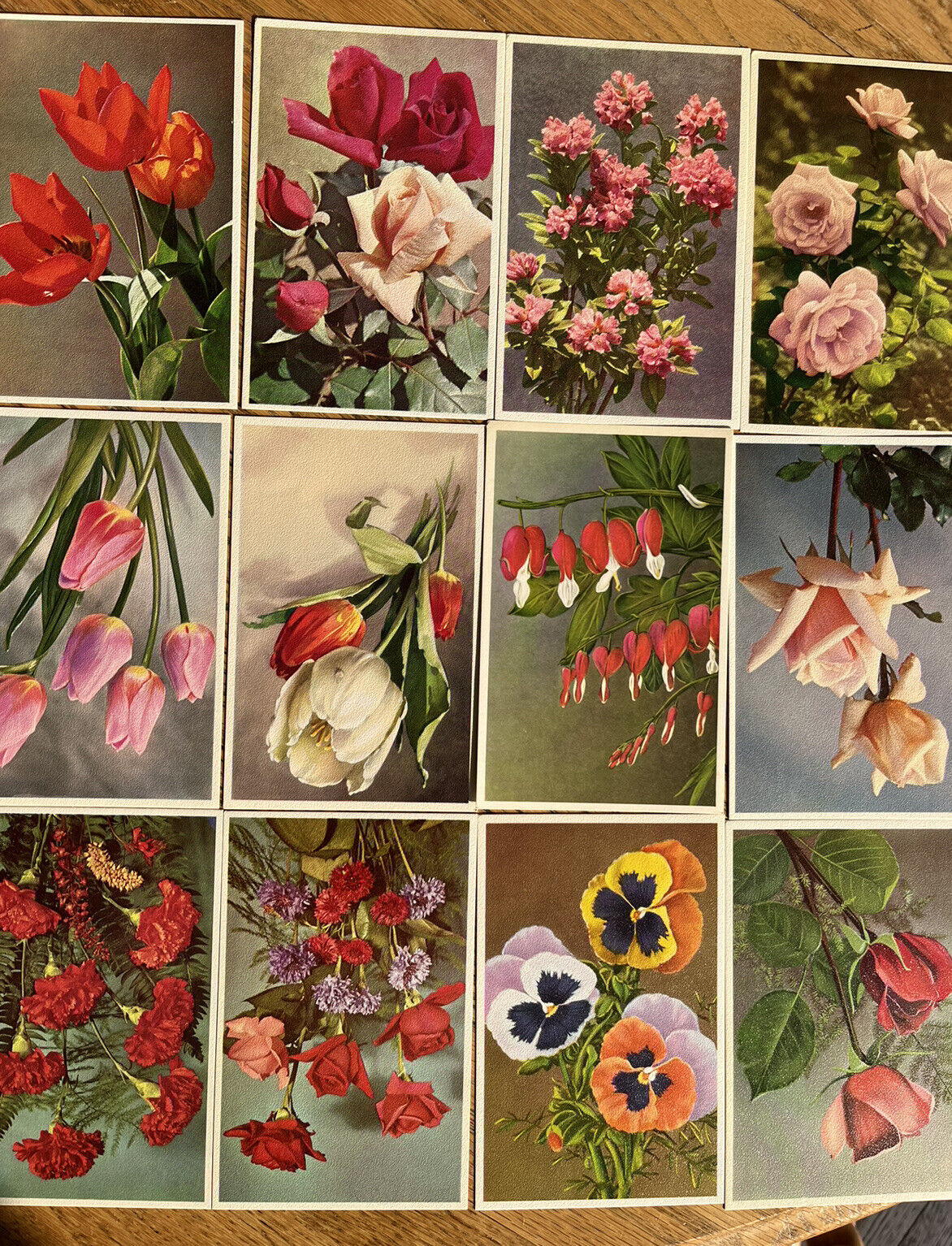 Unused Alfred Mainzer postcard set flowers