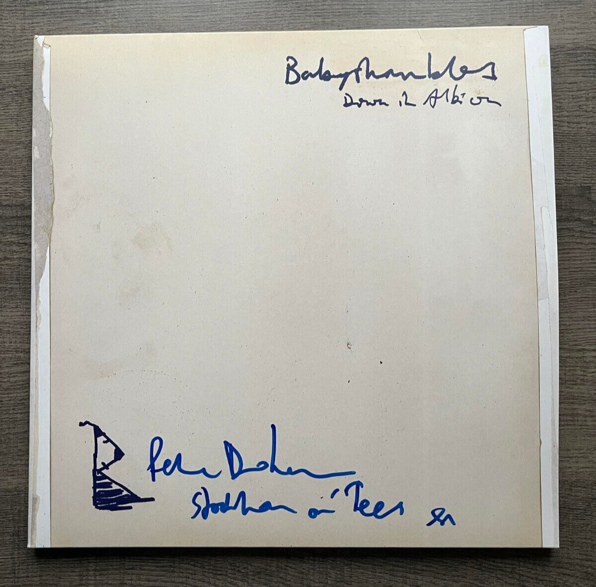 PETE DOHERTY Signed Down In Albion Babyshambles Vinyl RARE - EXACT PROOF/COA