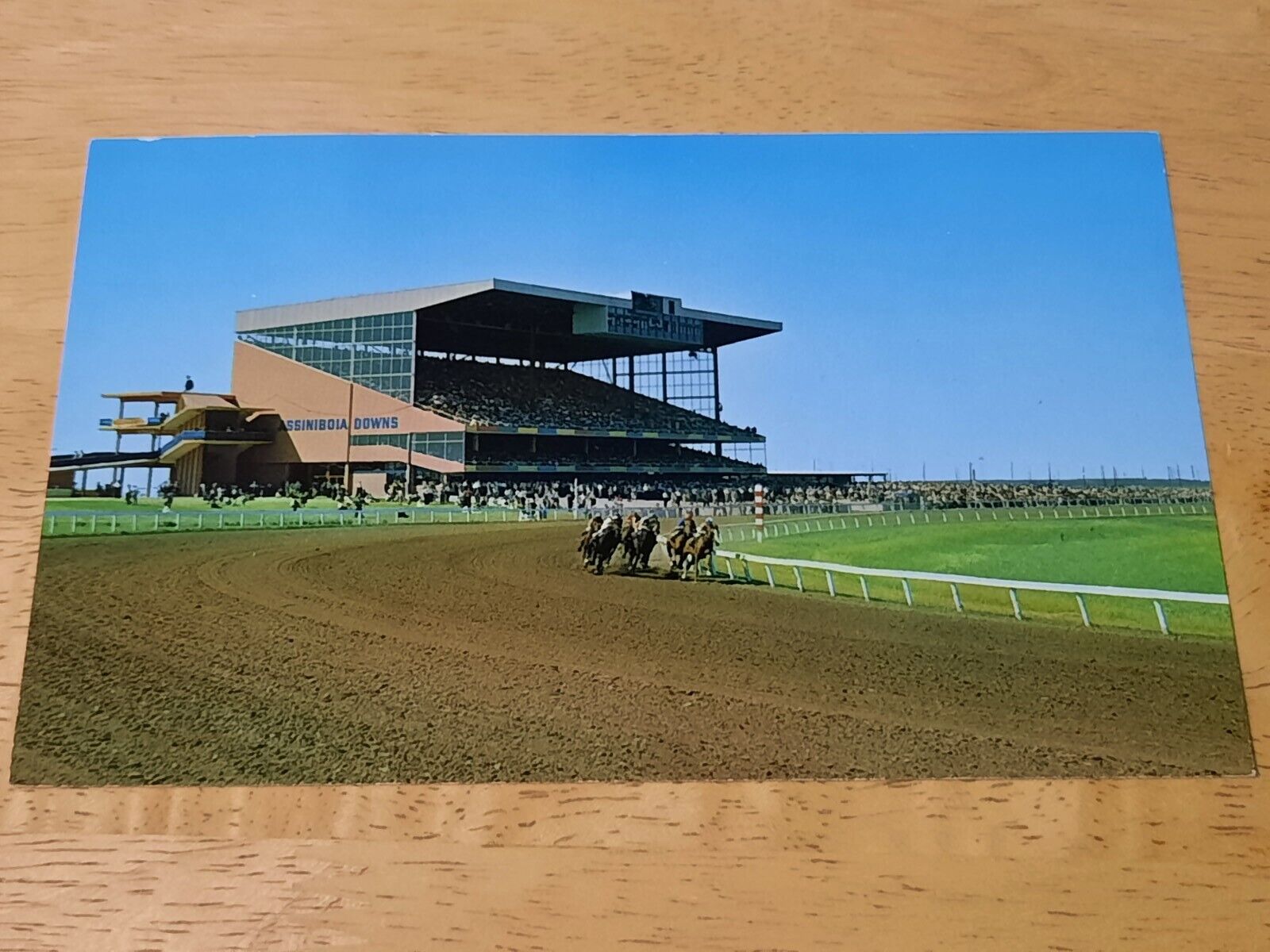 Assiniboia Downs Horse Racetrack Winnipeg Manitoba Canada Vintage Postcard