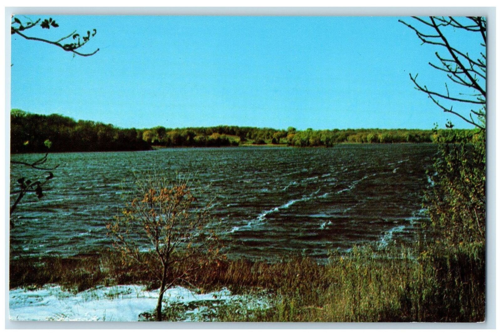 c1960\'s Point Lake The Scenic Lake Located In Spicer Minnesota MN Trees Postcard
