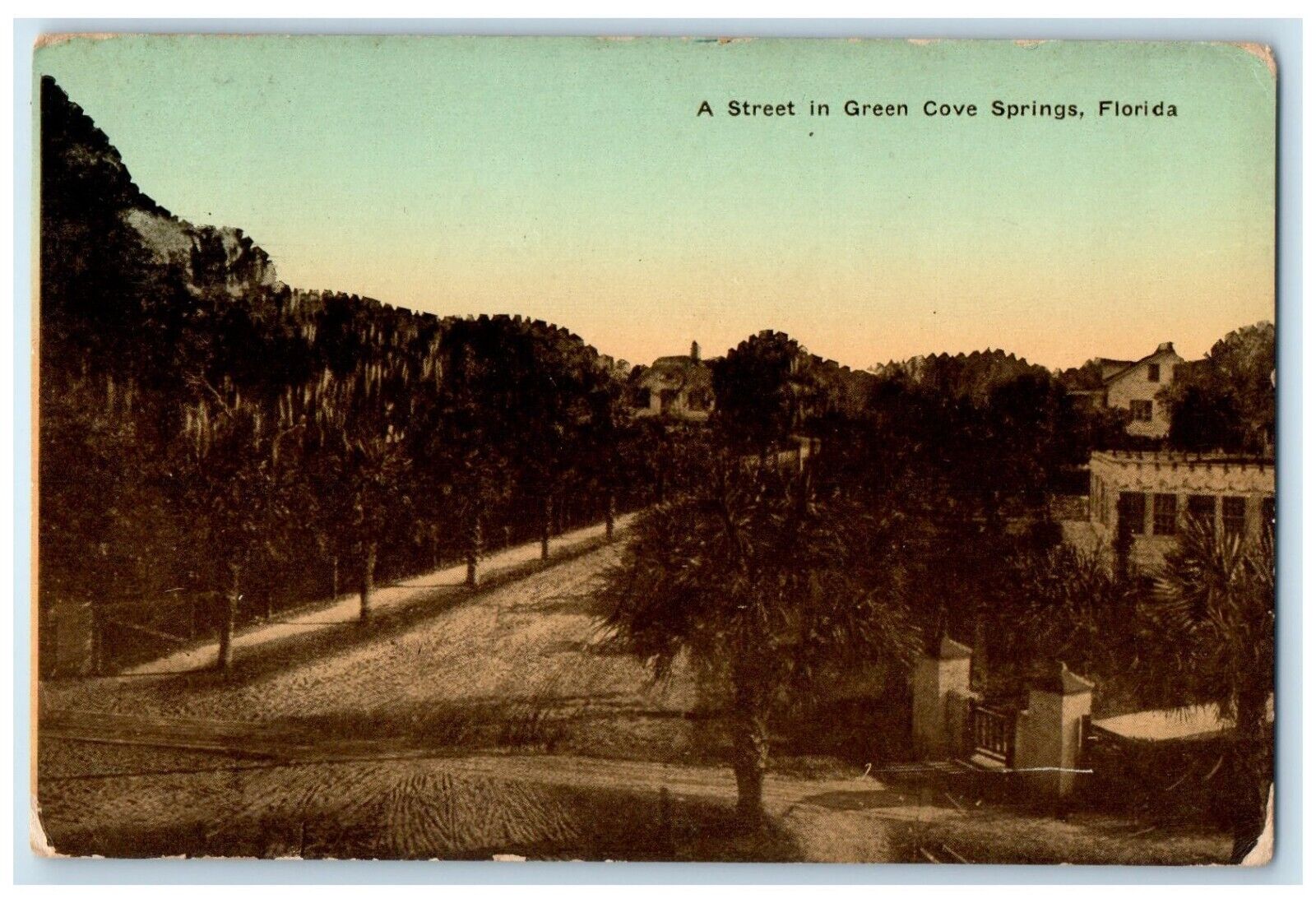 1914 A Street In Green Cove Springs Florida FL, Dirt Road Antique Postcard