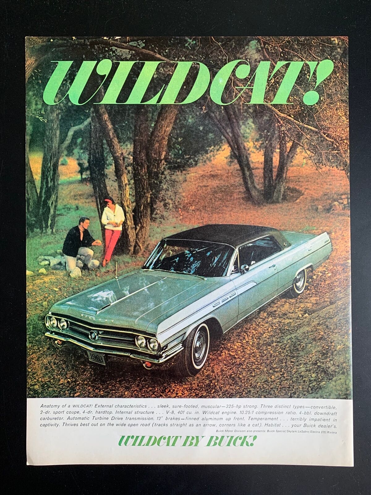 Vintage 1963 Buick Wildcat Print Ad