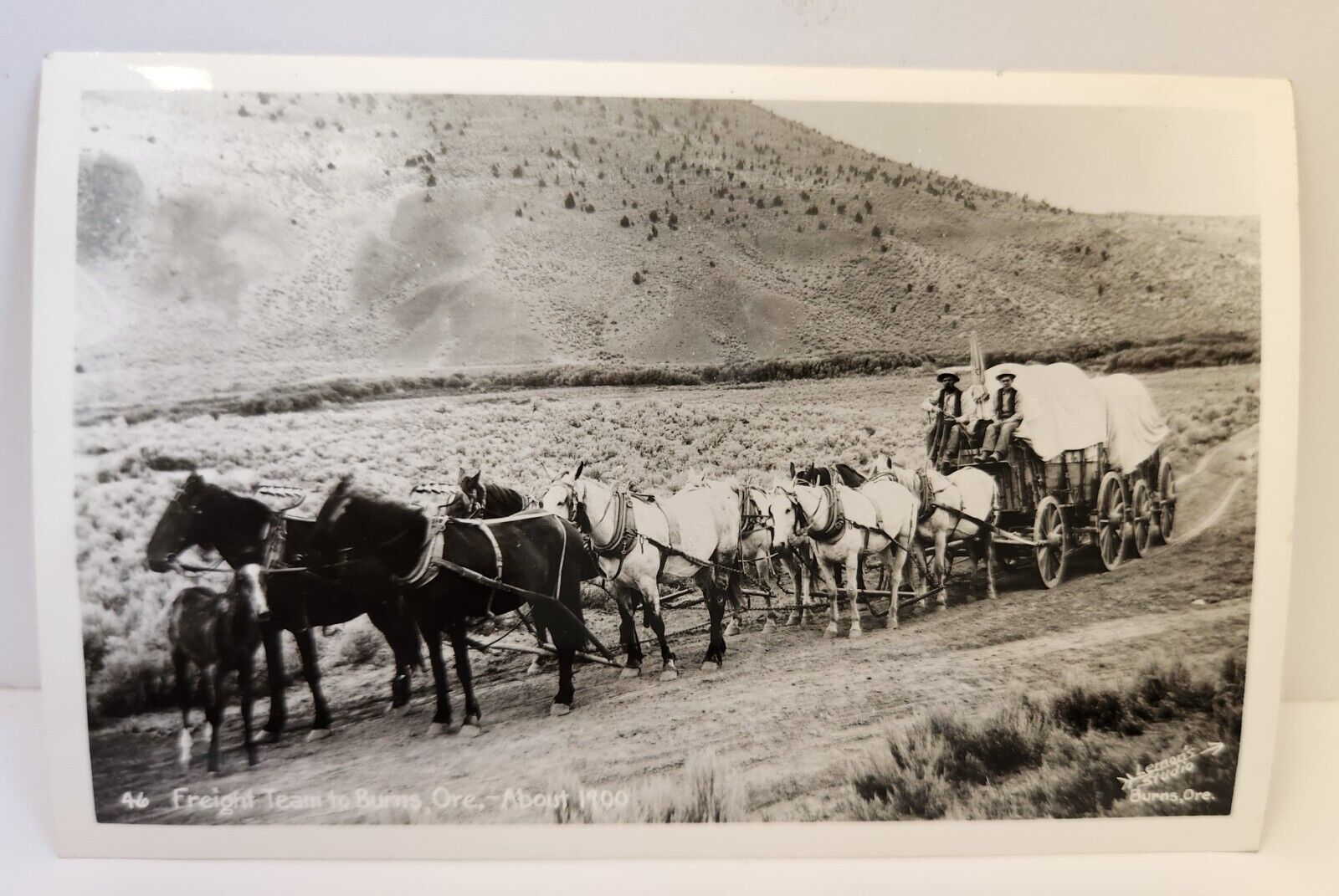 RPPC Burns Oregon About 1900 Freight Team Horses Wagon c1950s Repro Lemon's