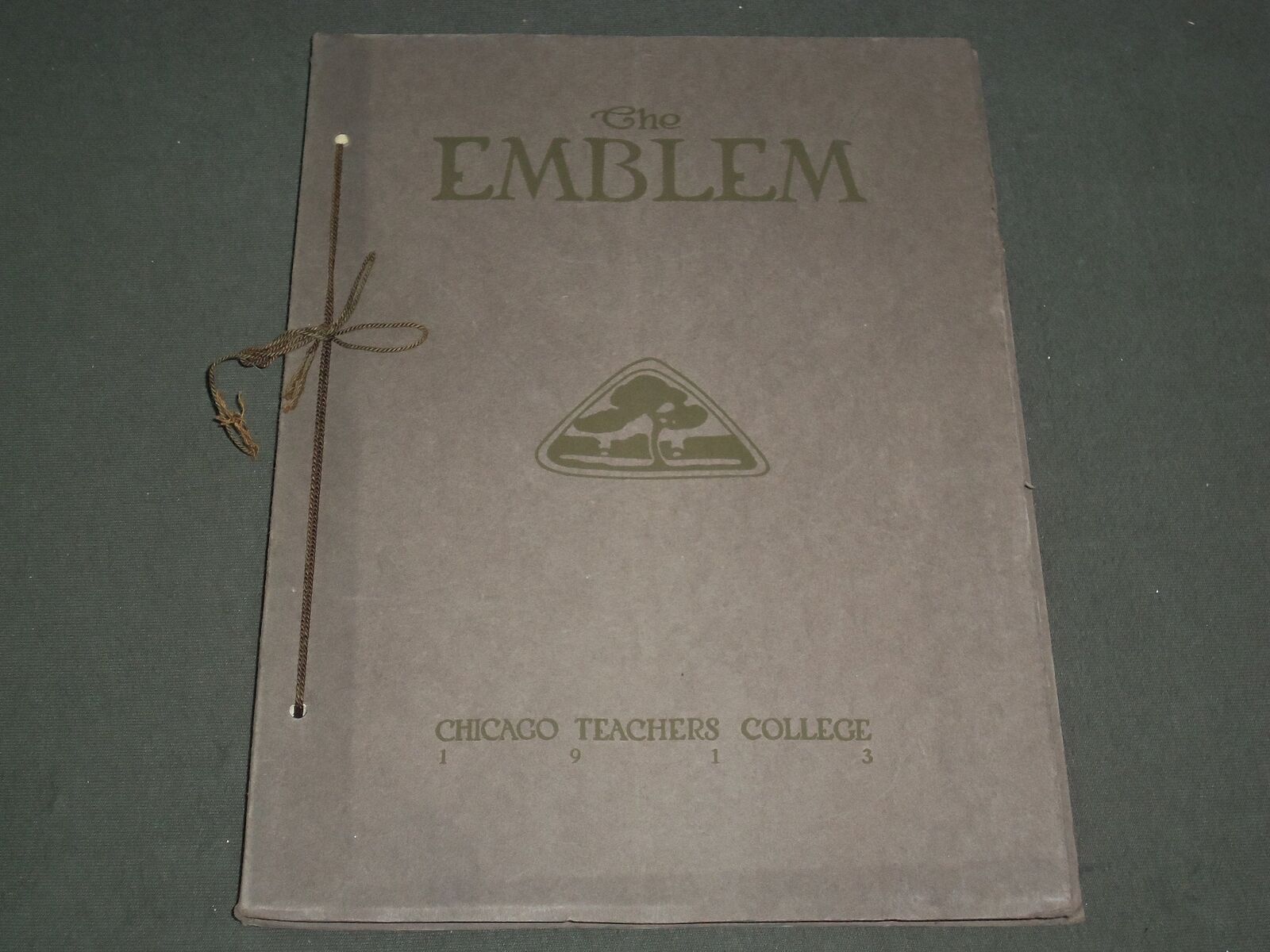 1913 THE EMBLEM CHICAGO NORMAL COLLEGE YEARBOOK - ILLINOIS - PHOTOS - YB 1130