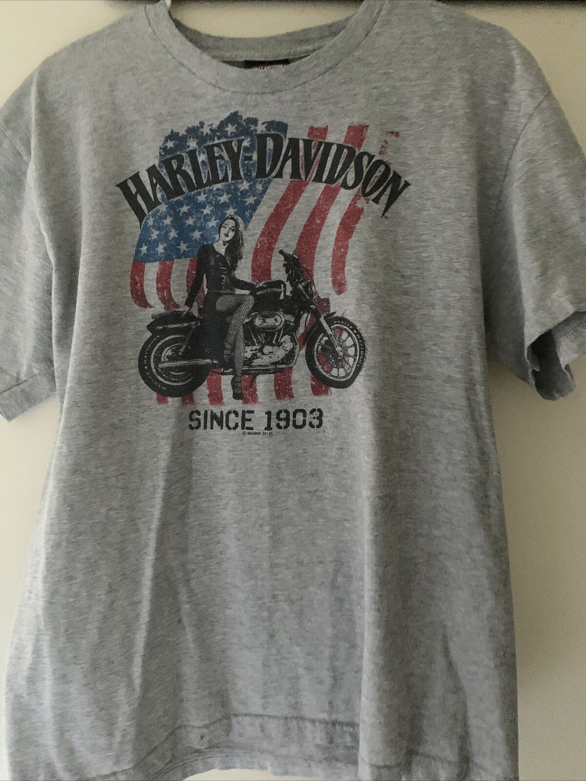 Harley Davidson Men’s TShirt Lg
