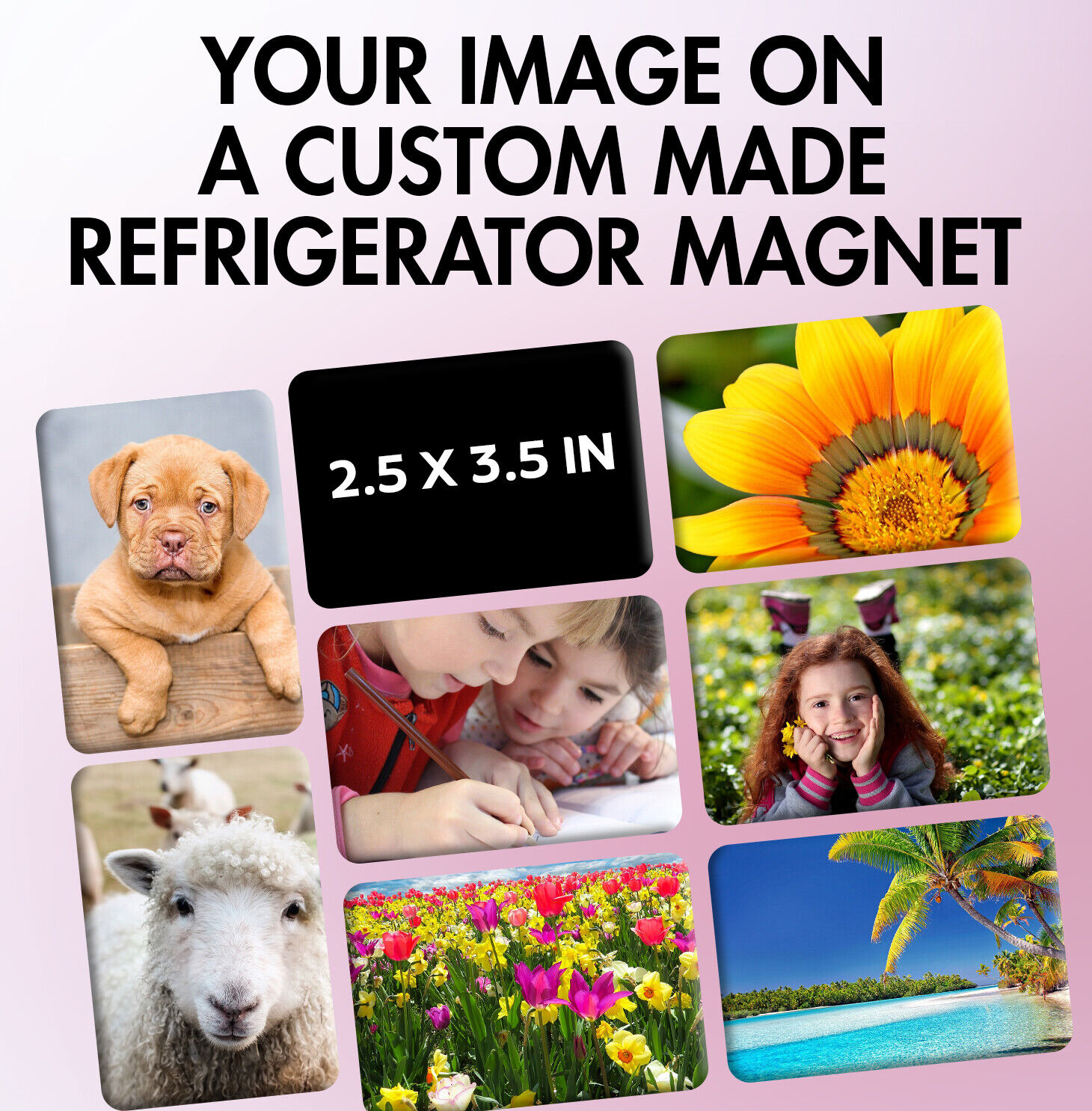 Custom Photo  Refrigerator Magnets - Metal Backs Larger 2.5 x 3.5\