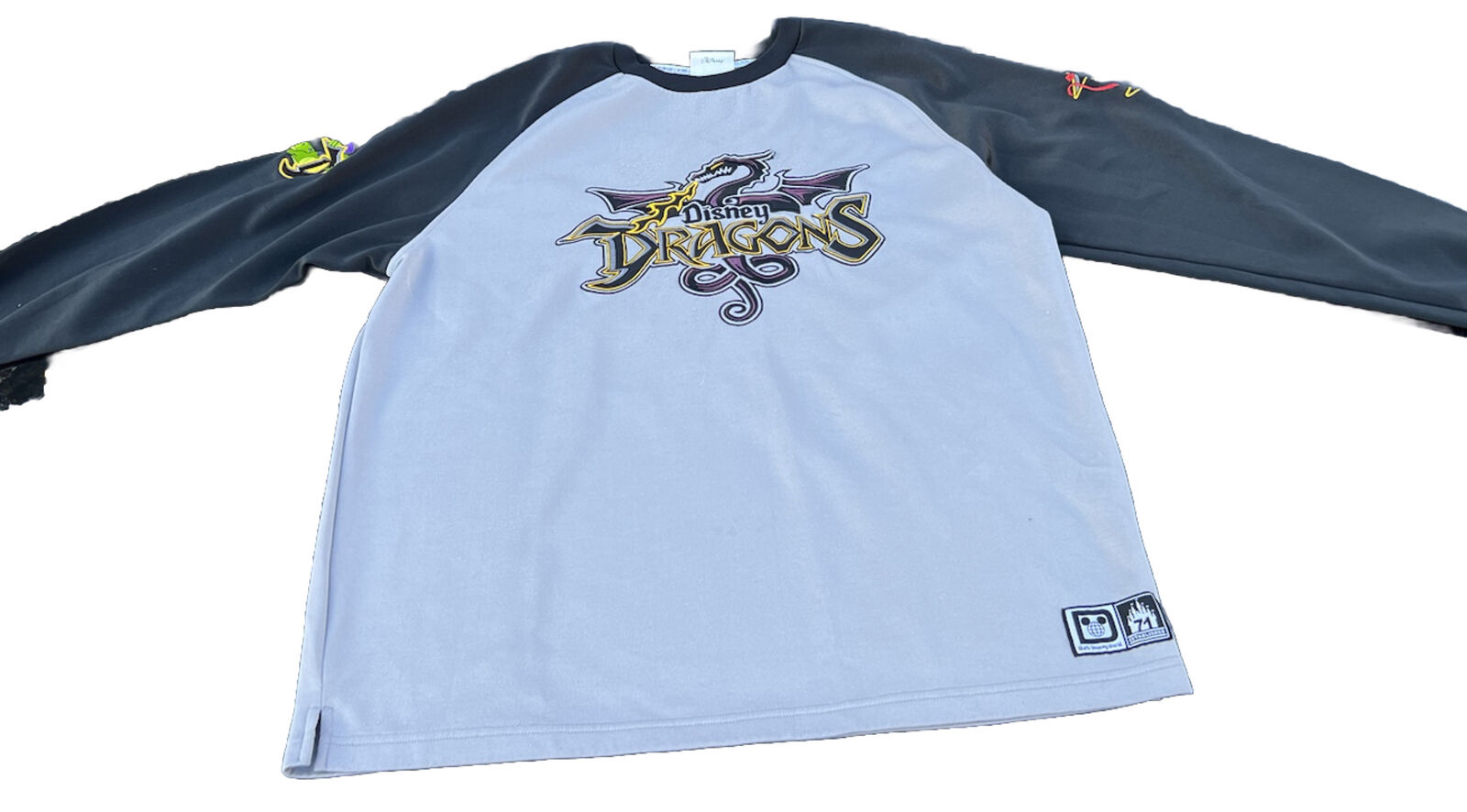 Walt Disney World DRAGONS Graphic Long Sleeve Jersey Adult Size Large Authentic