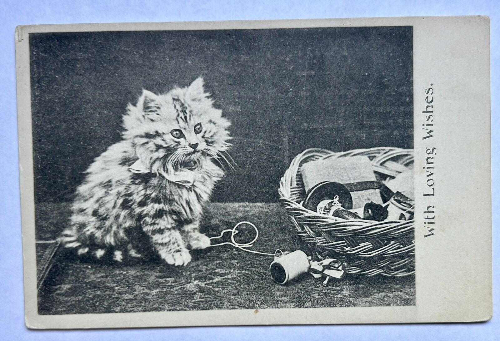 Kitten With Thread Sewing Kit. Vintage Cat Postcard