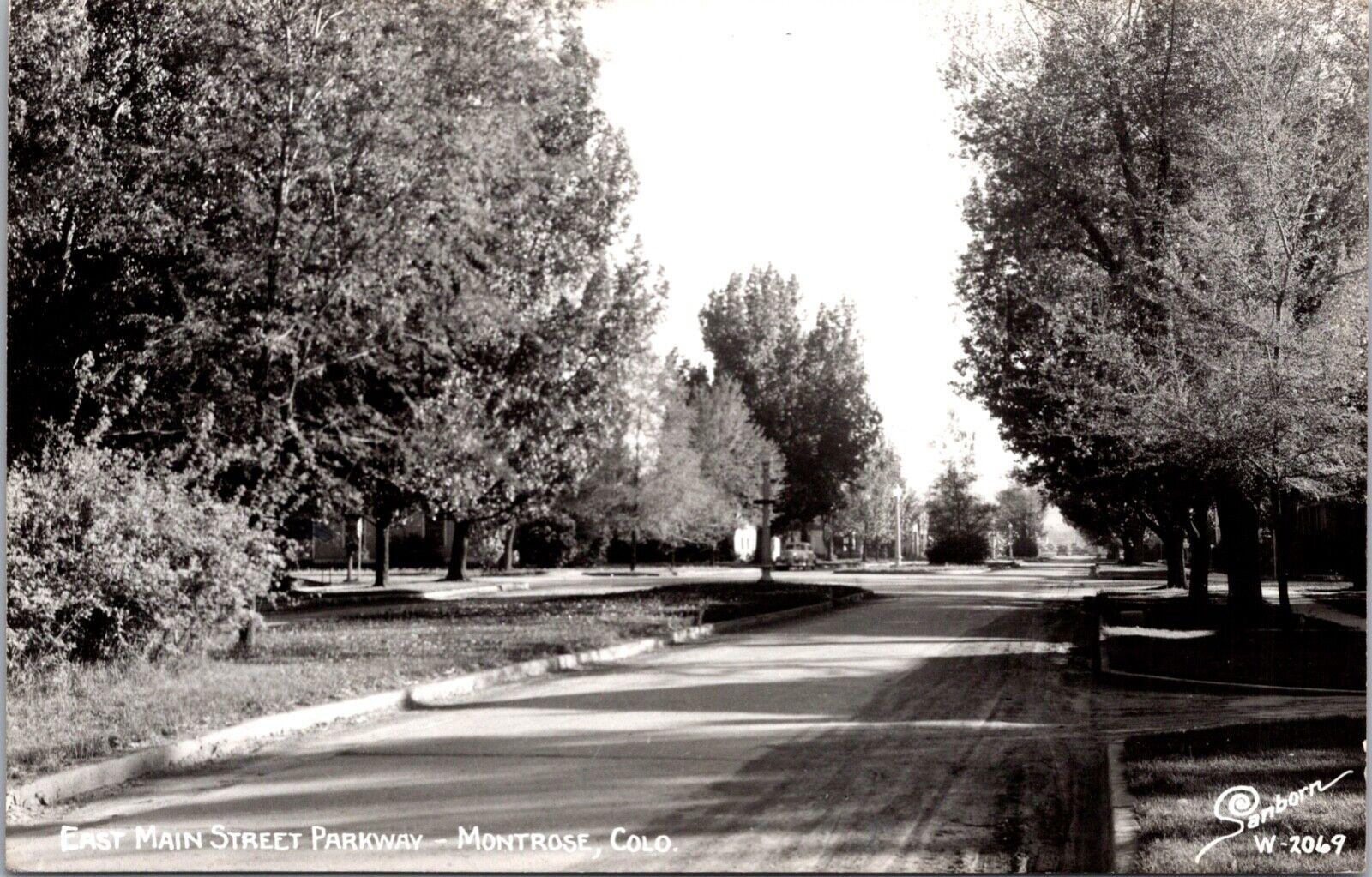 Real Photo Postcard East Main Street Parkway in Montrose, Colorado