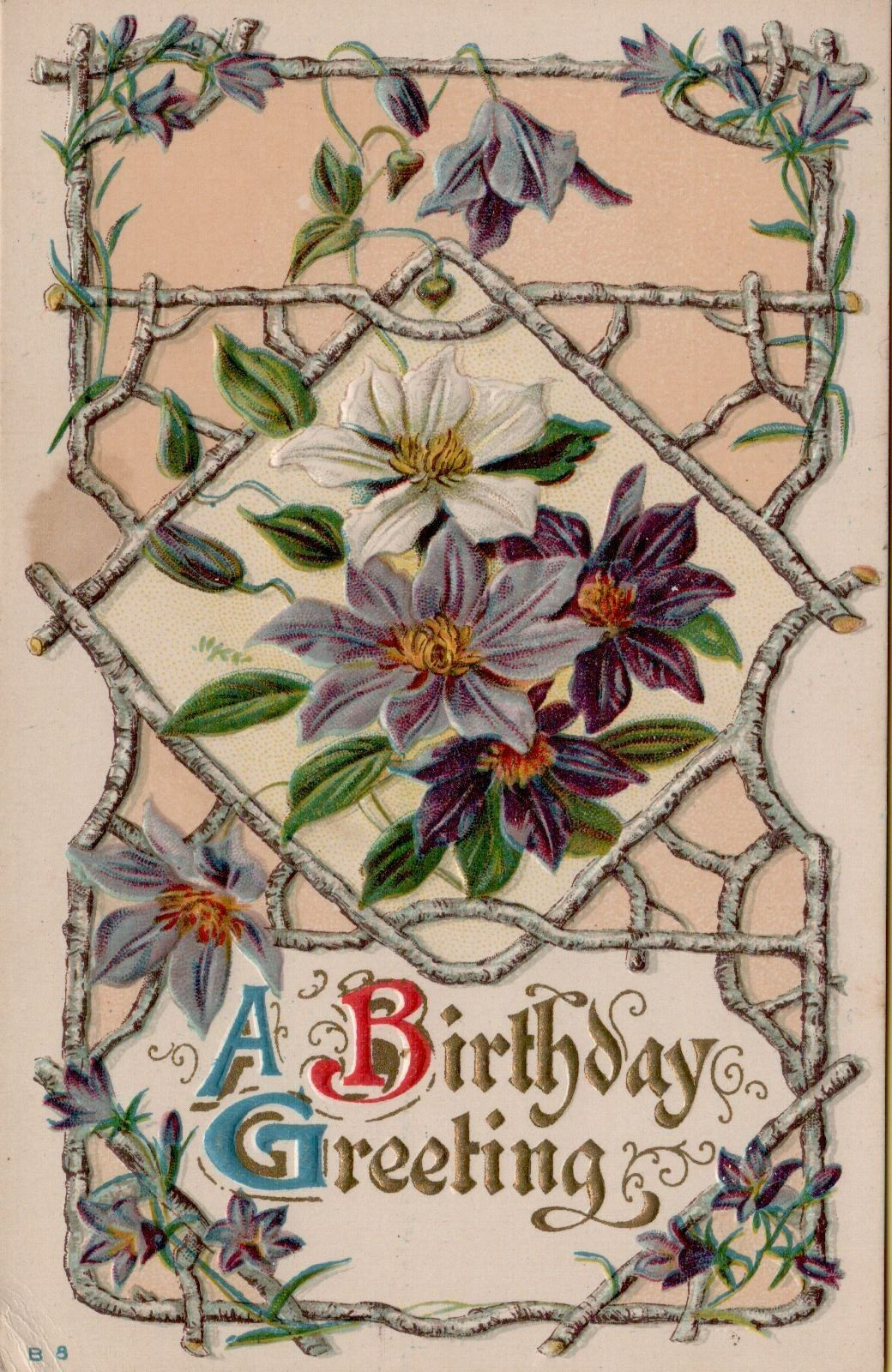 Birthday Greetings Postcard Purple Flowers Framed by Birch Twigs 1911 Posted