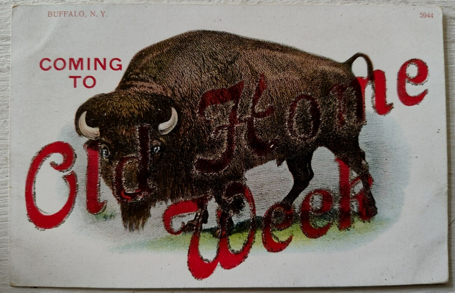 1907 Old Home Week Buffalo NY Postcard / Awesome Buffalo Graphic