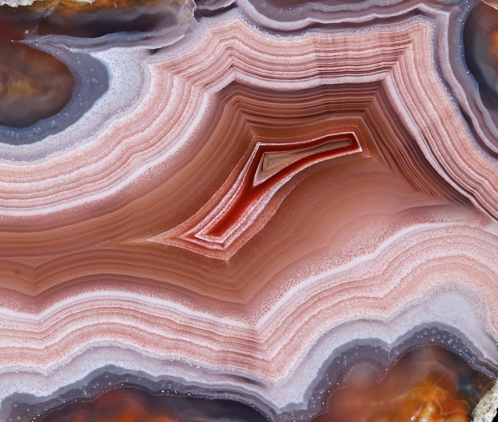 Amazing Banded Laguna Agate From Mexico Collectors Grade Parallax