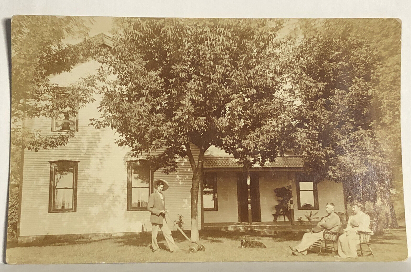 Real Photo Postcard RPPC Unidentified Yard Dog Rests People Sit Push Lawnmower