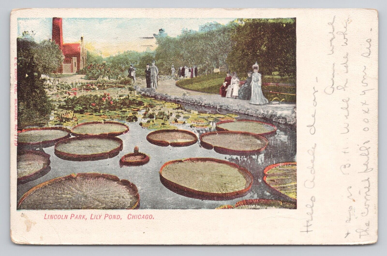 Lincoln Park Lily Pond Chicago Illinois 1910 Antique Postcard