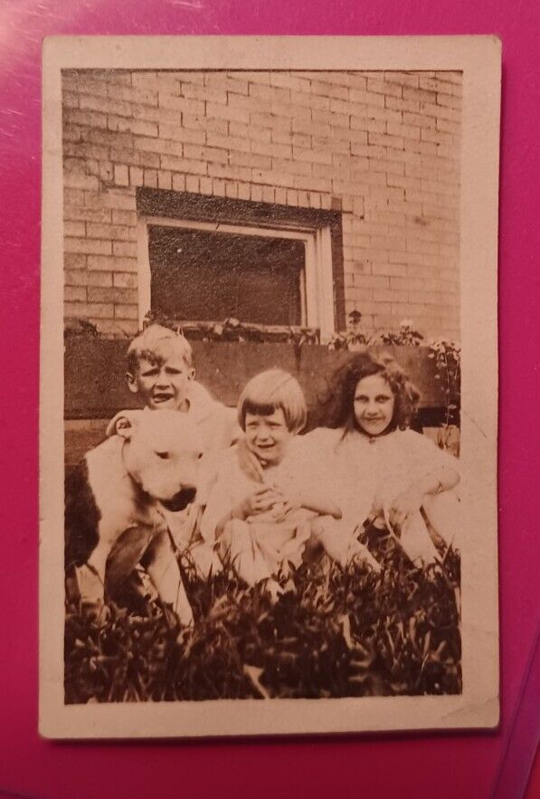 Vintage Photo Original Happy Kids Pit Bull Puppy 1912 Staffordshire Terrier