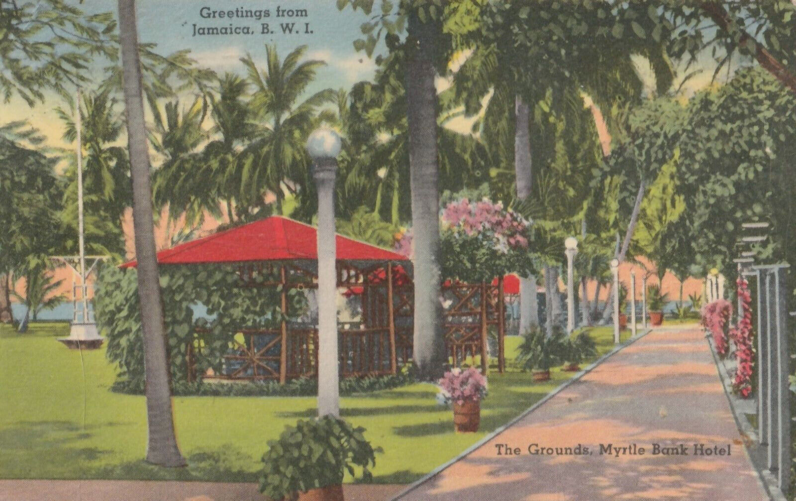 VINTAGE POSTCARD THE GROUNDS AT THE MYRTLE BANK HOTEL KINGSTON JAMAICA 1954