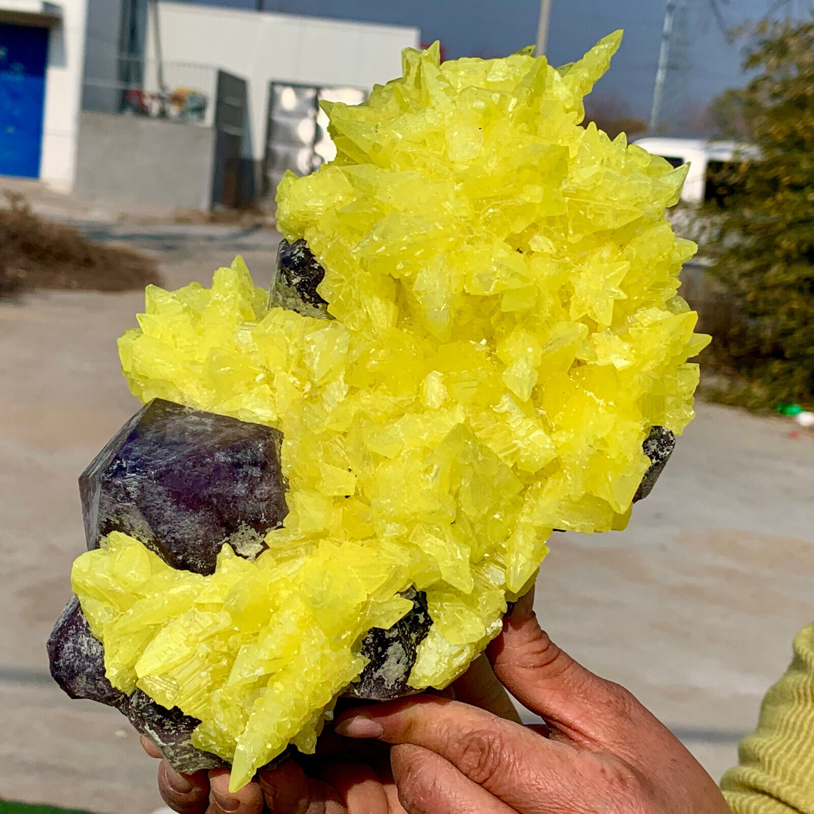 7.01LB Minerals ** LARGE NATIVE SULPHUR OnMATRIX Sicily With+amethyst Crystal