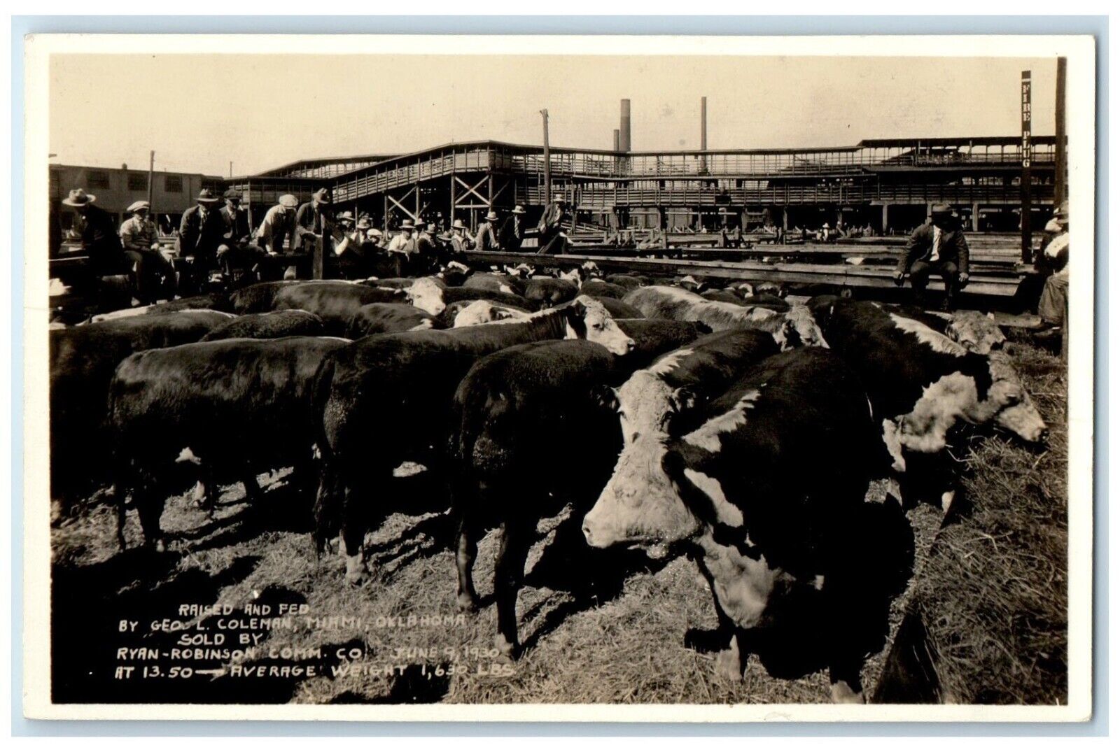 c1930\'s Raised And Fed Animals Miami Florida FL Vintage RPPC Photo Postcard