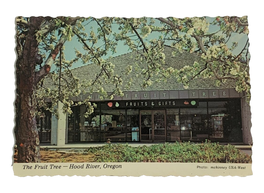 The Fruit Tree Hood River Valley Oregon Postcard Unposted