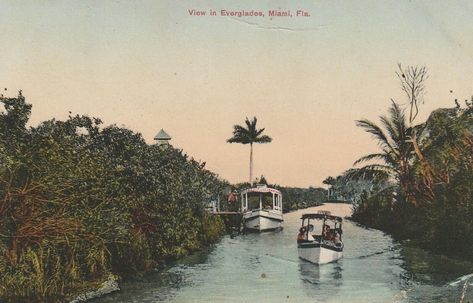 1911 View In Everglades, Miami Fla. Tour Boats a197