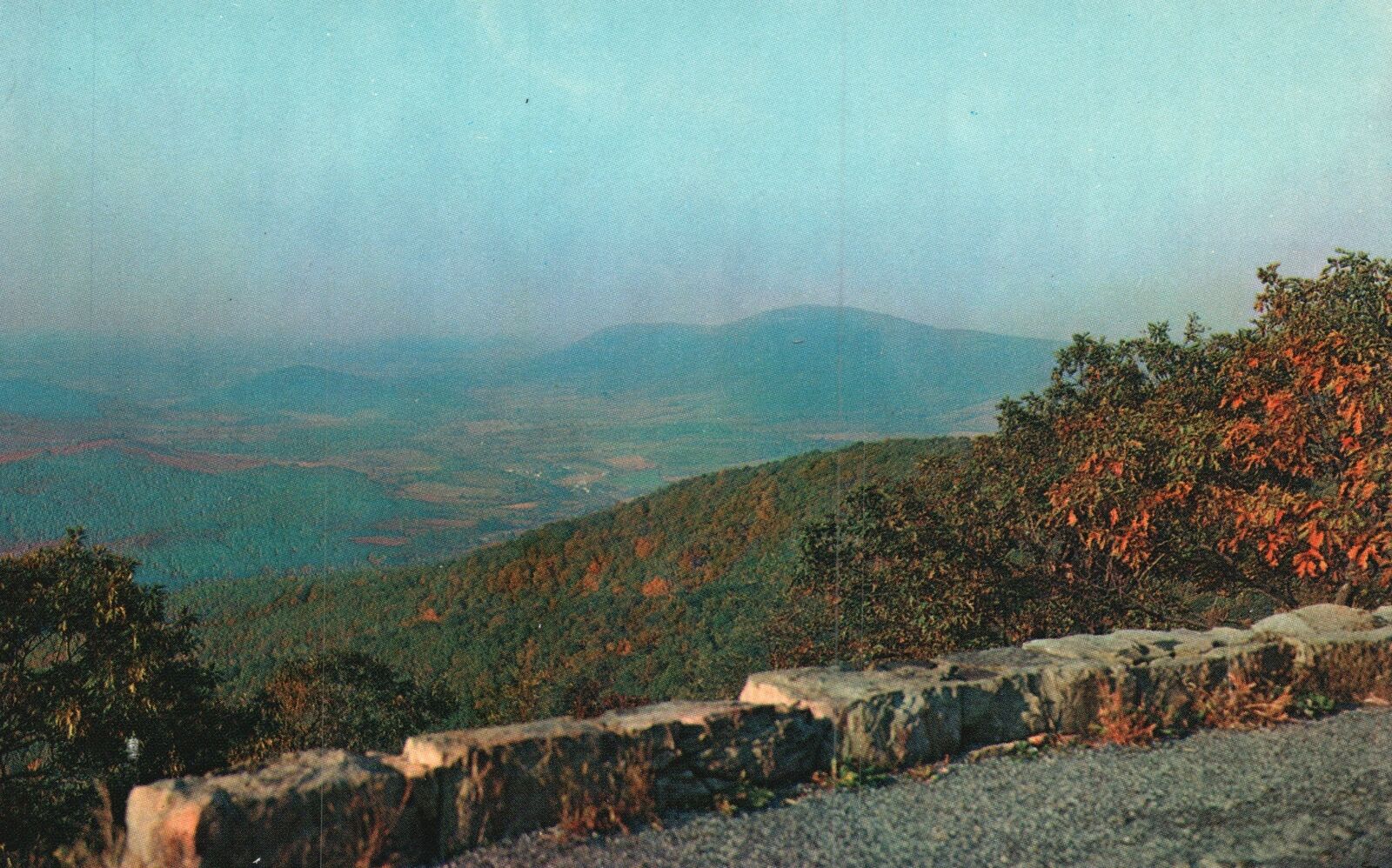 Vintage Postcard Dickie Ridge Picnic Grounds Skyline Drive Virginia VA
