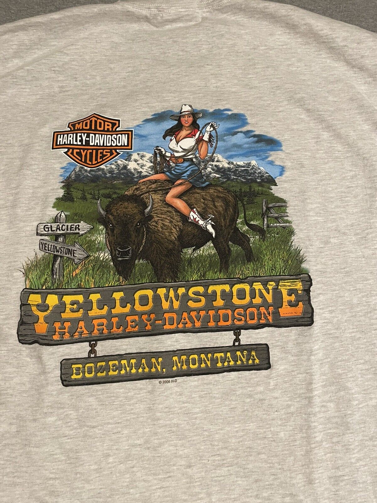 2006 Harley Davidson Yellowstone Men\'s T-Shirt 2XL Bozman Montana