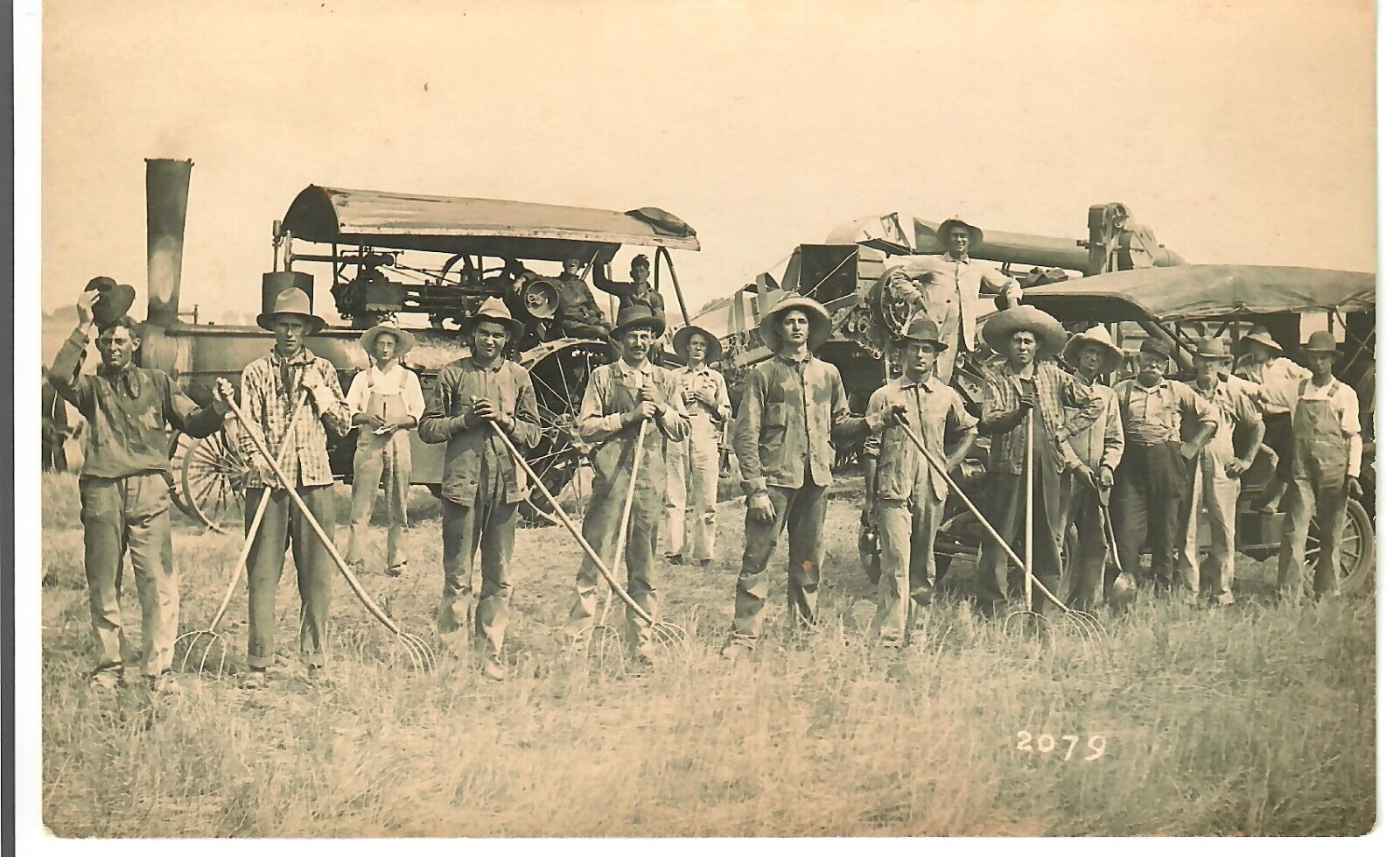 1914 RPPC Abbyville Kansas Wheat Harvest Crew Steam Tractor in Background
