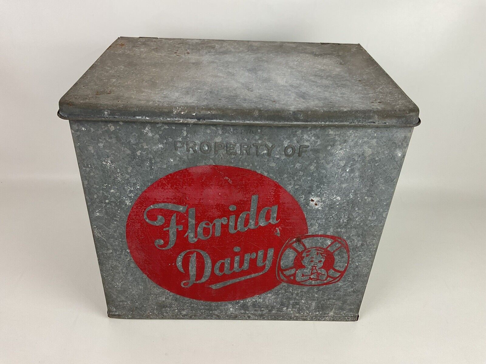 Vintage Rare Florida Dairy Insulated Galvanized Milk Porch Box Cooler 14x10x12