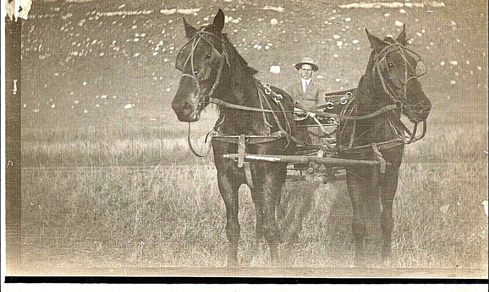 Postcard Man on Buggy,Two Horse Team,Interesting Perspective,Real Photo,1900s