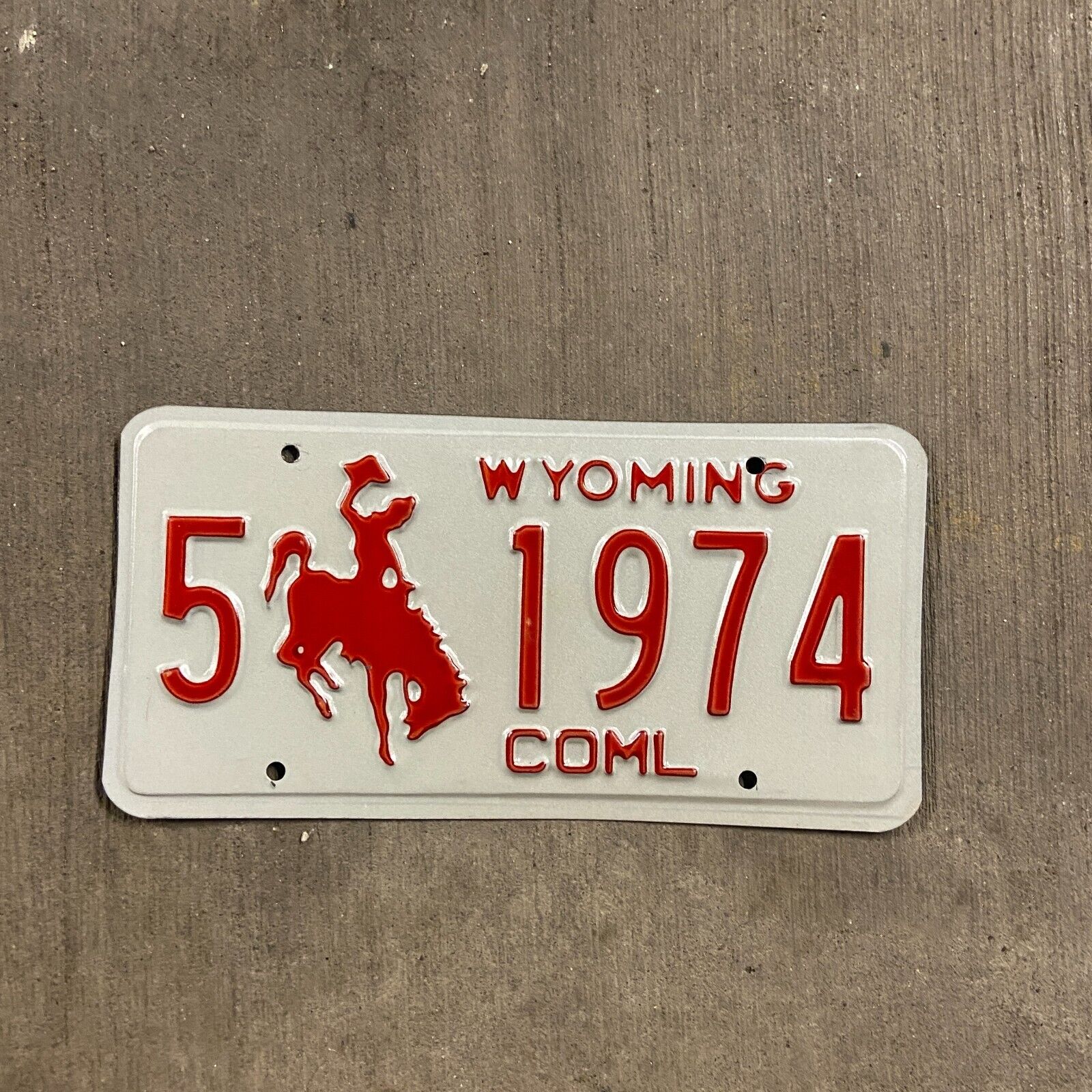 Wyoming TRUCK License Plate Vintage Auto Garage Decor Albany Birth Year 5 1974