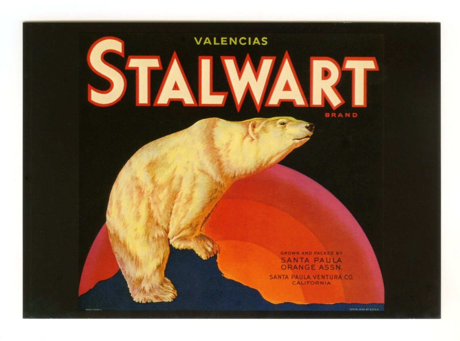 STALWART~POLAR BEAR~HISTORICAL AUTHENTIC FRUIT CRATE LABEL ART~NEW 1983 POSTCARD
