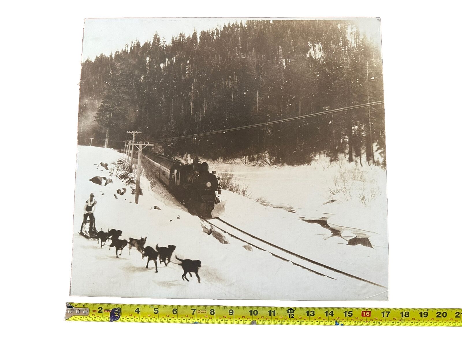 vintage Iditarod Race Photo By Andrew Hill 1920