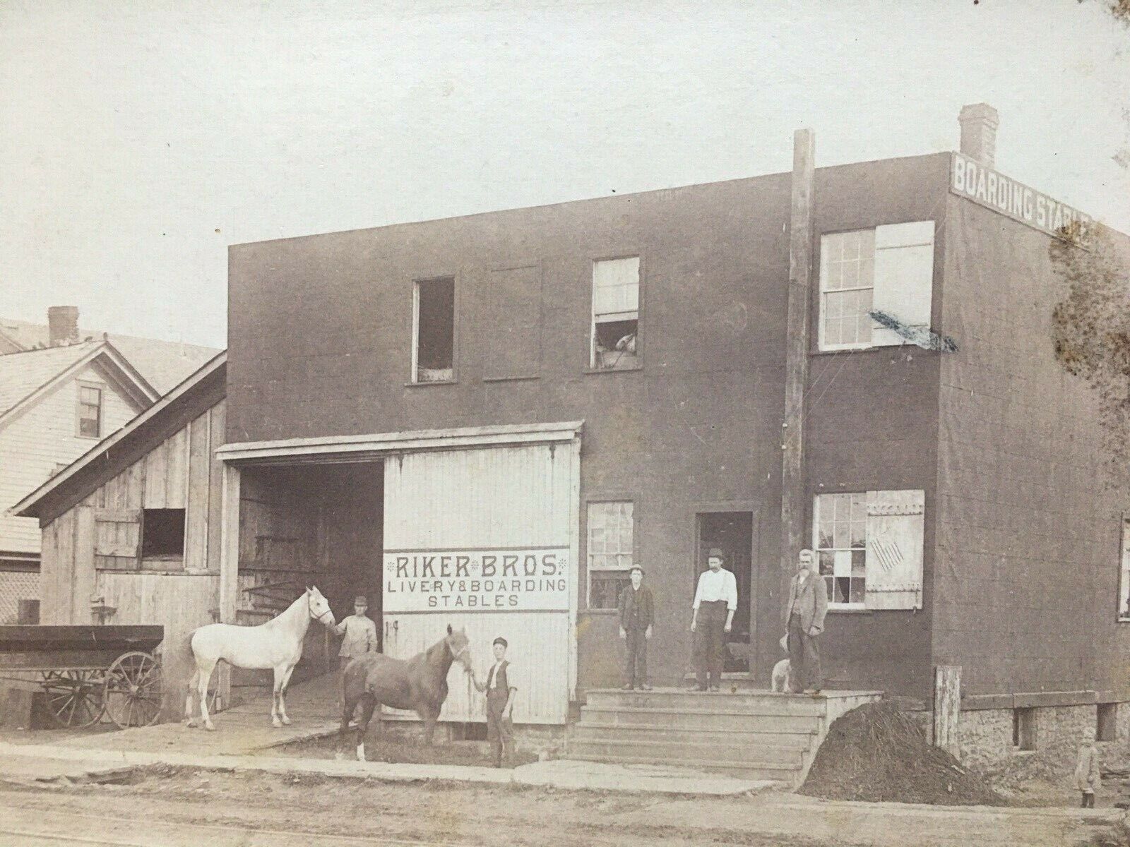 Rikers Brothers Livery and Stable Photo Scranton PA  Antique Horse Picture 1886