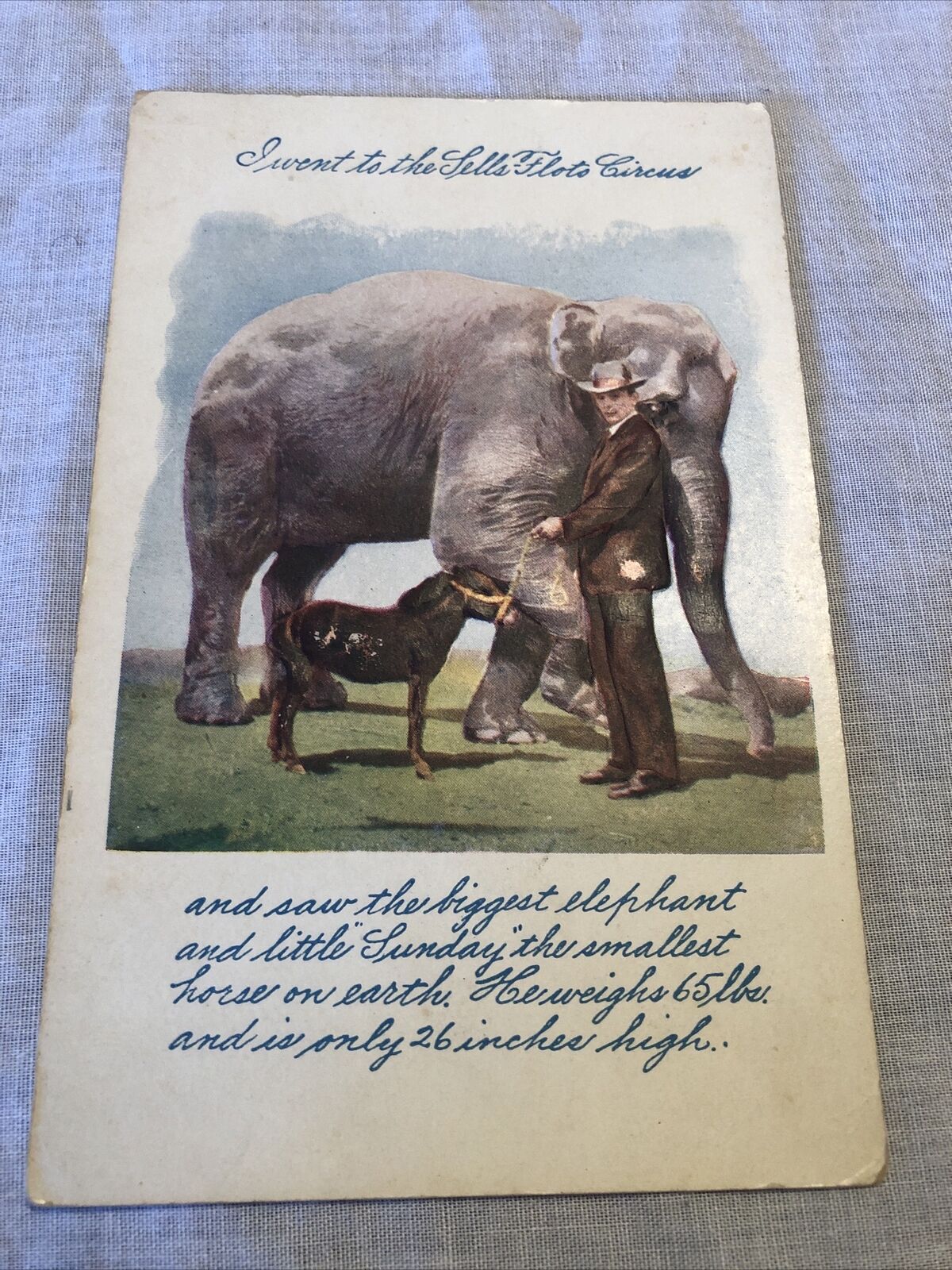 Sells Floto Circus Elephant/Horse Jefferson Texas printed 1907 Marshall embossed