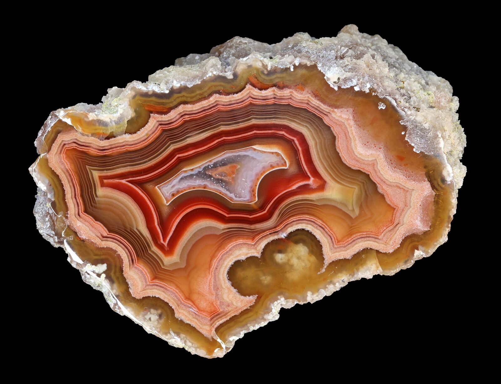 Amazing Banded Laguna Agate From Mexico Collectors Grade