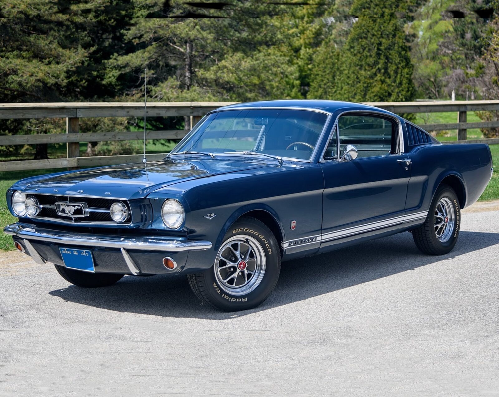 1965 FORD MUSTANG GT PHOTO (213-h)