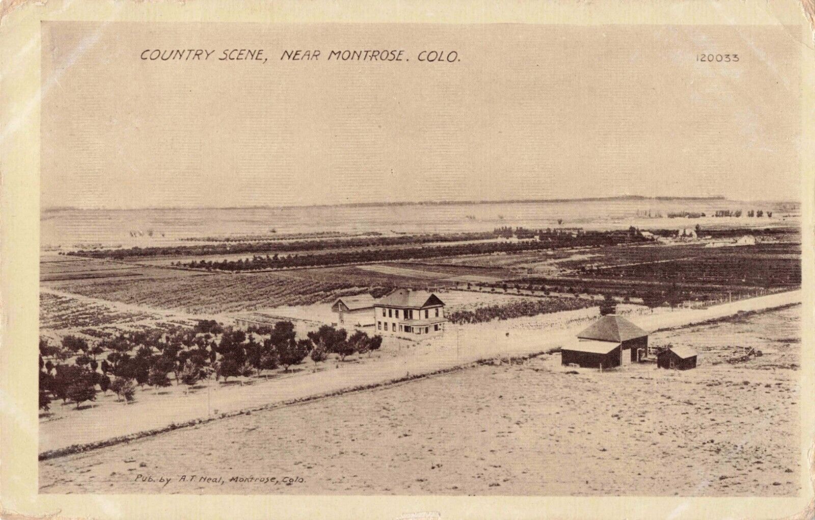 Country Scene Near Montrose Colorado CO Birdseye View 1914 Postcard