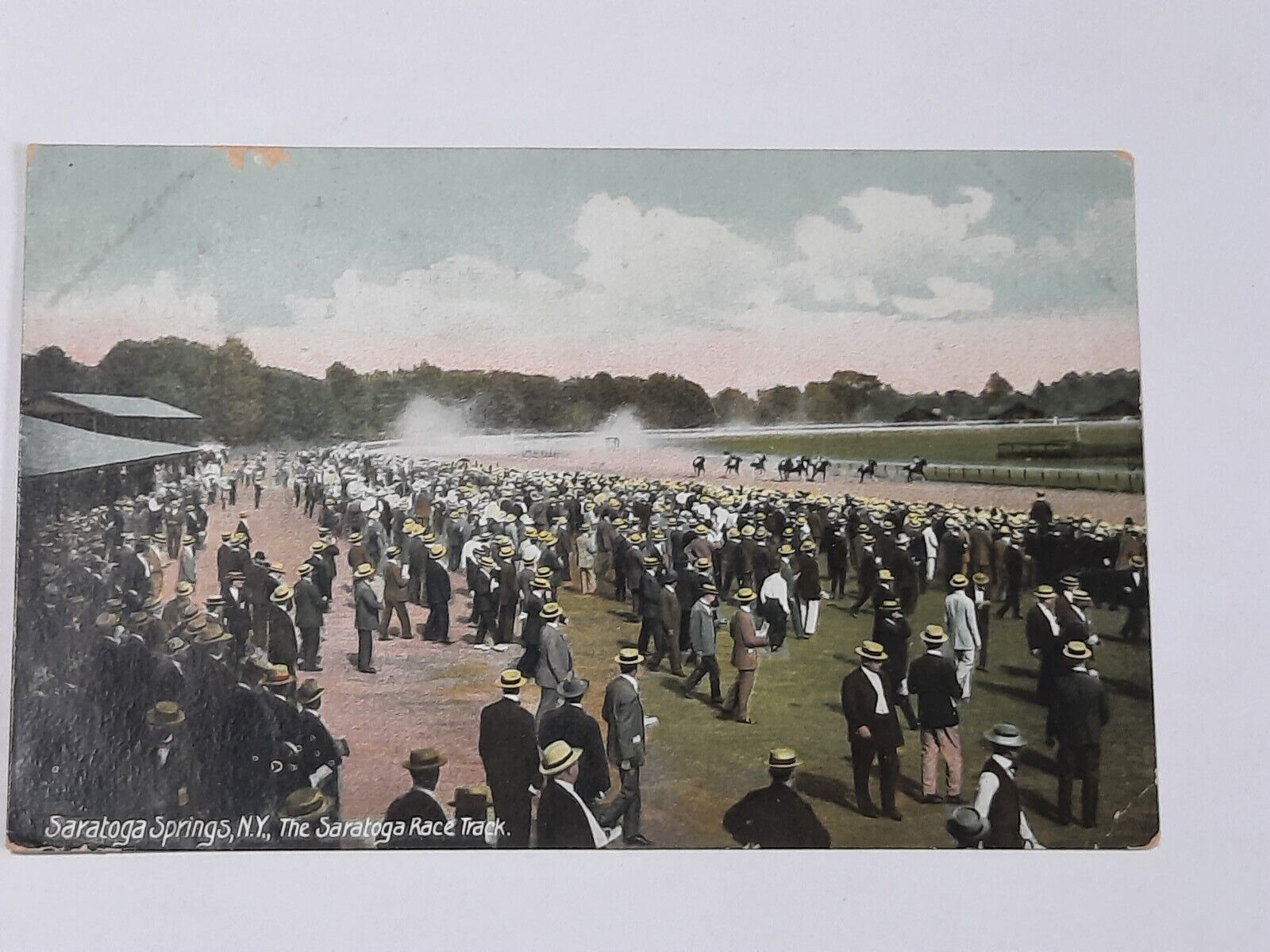 Saratoga Race Track New York Robson Adee Germany 6626 Horse Vintage Postcard