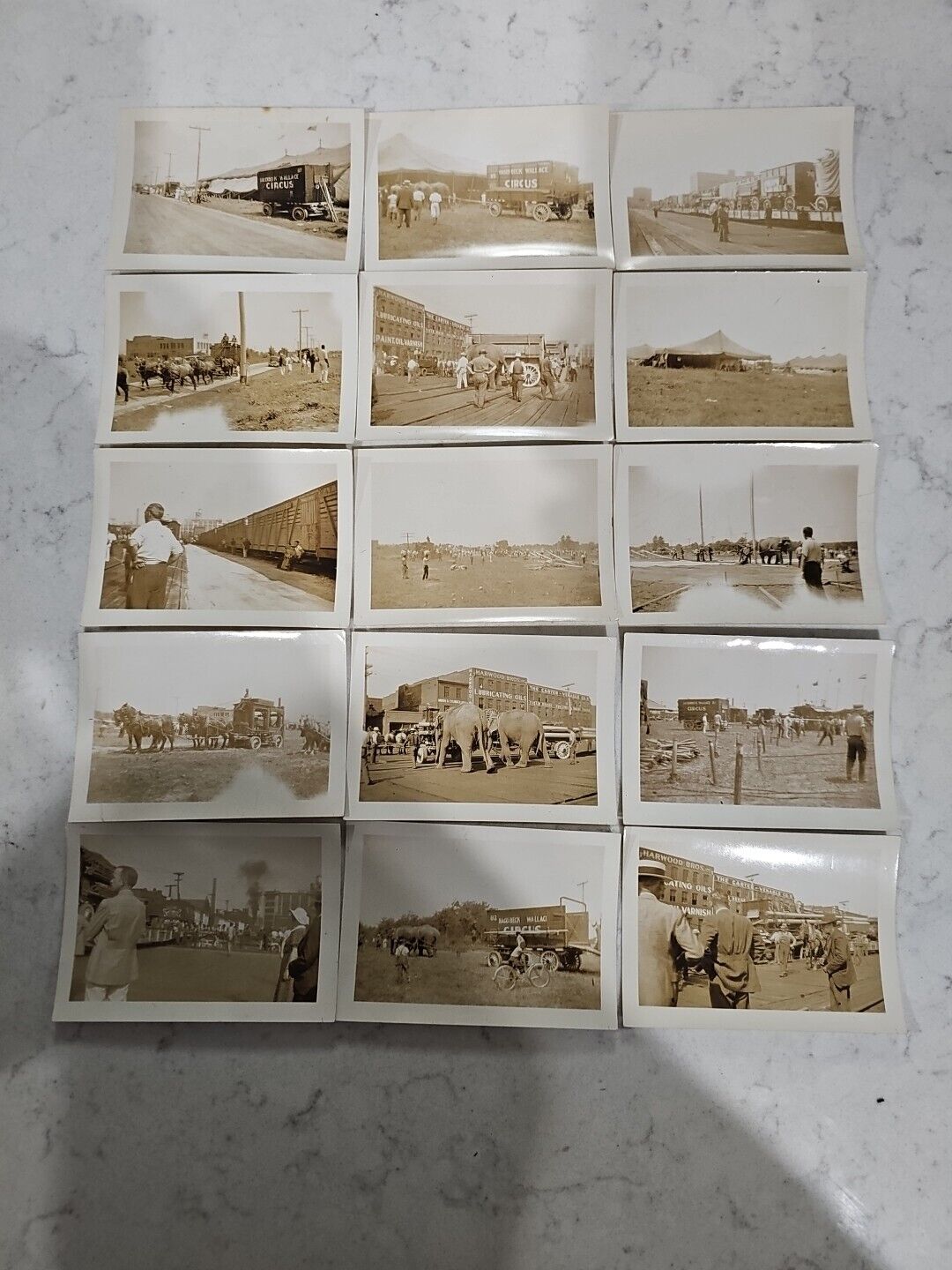 hagenbeck wallace circus photos 1937 Lot Of 15 Size 3 1/5 X 2 1/5 Inches Lot1