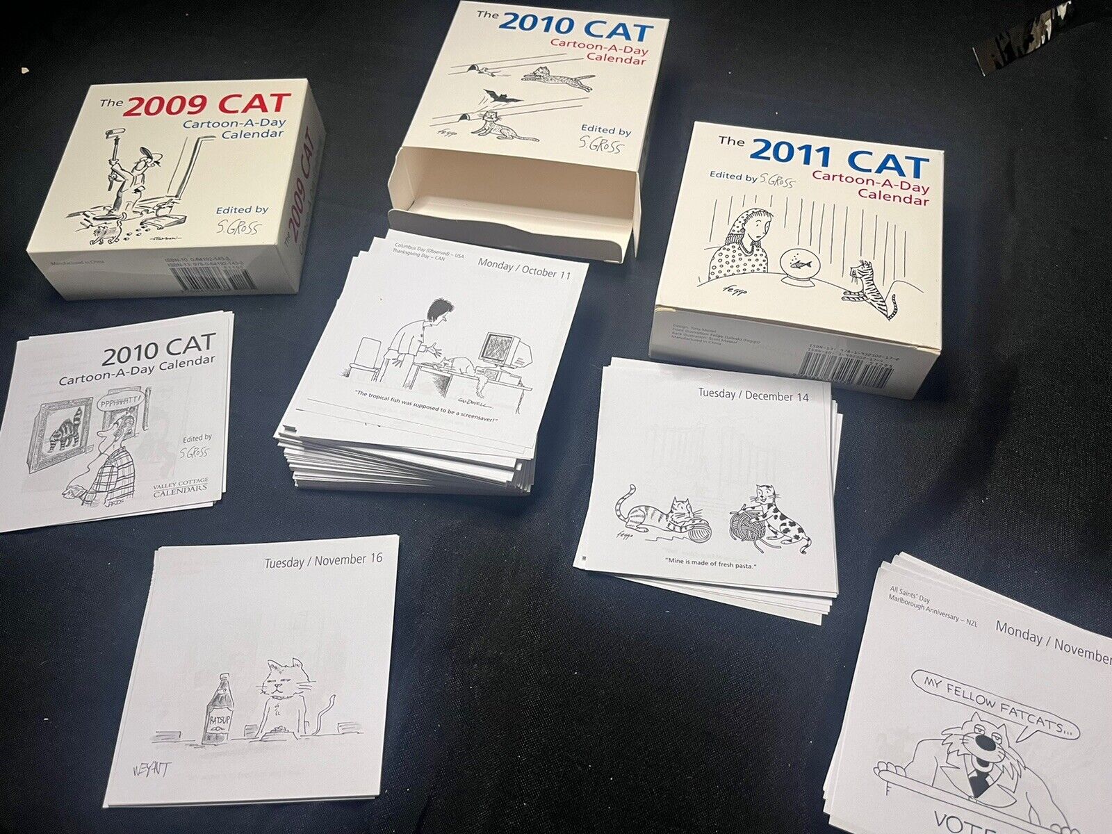 2009 2010 2011 CAT CARTOON A DAY Calendars: 1095 Individual Cat Cartoons Kittens
