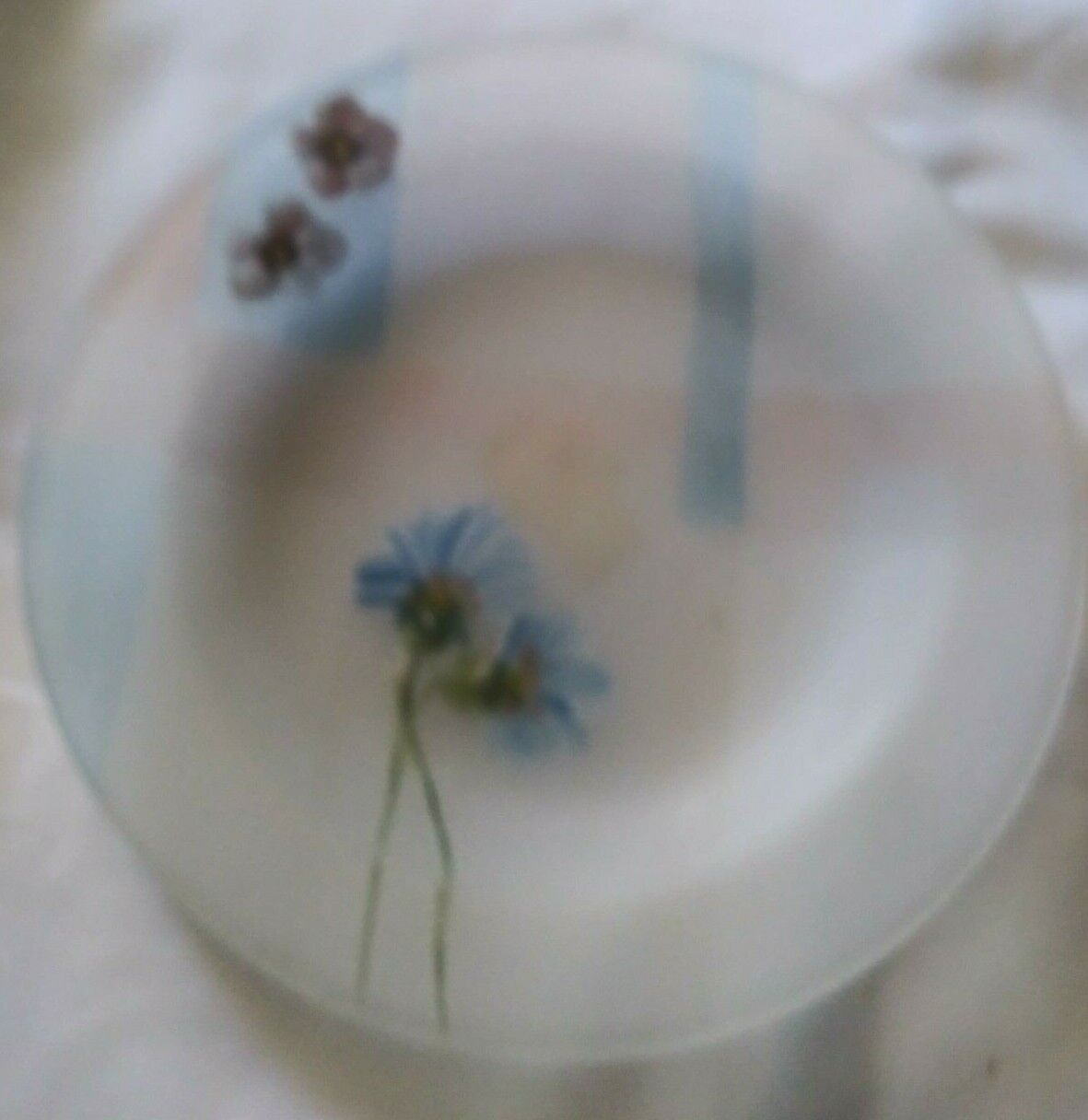 Blue Glass Plate Opaque Floral  Decorative Collectible Hand Painted 8\