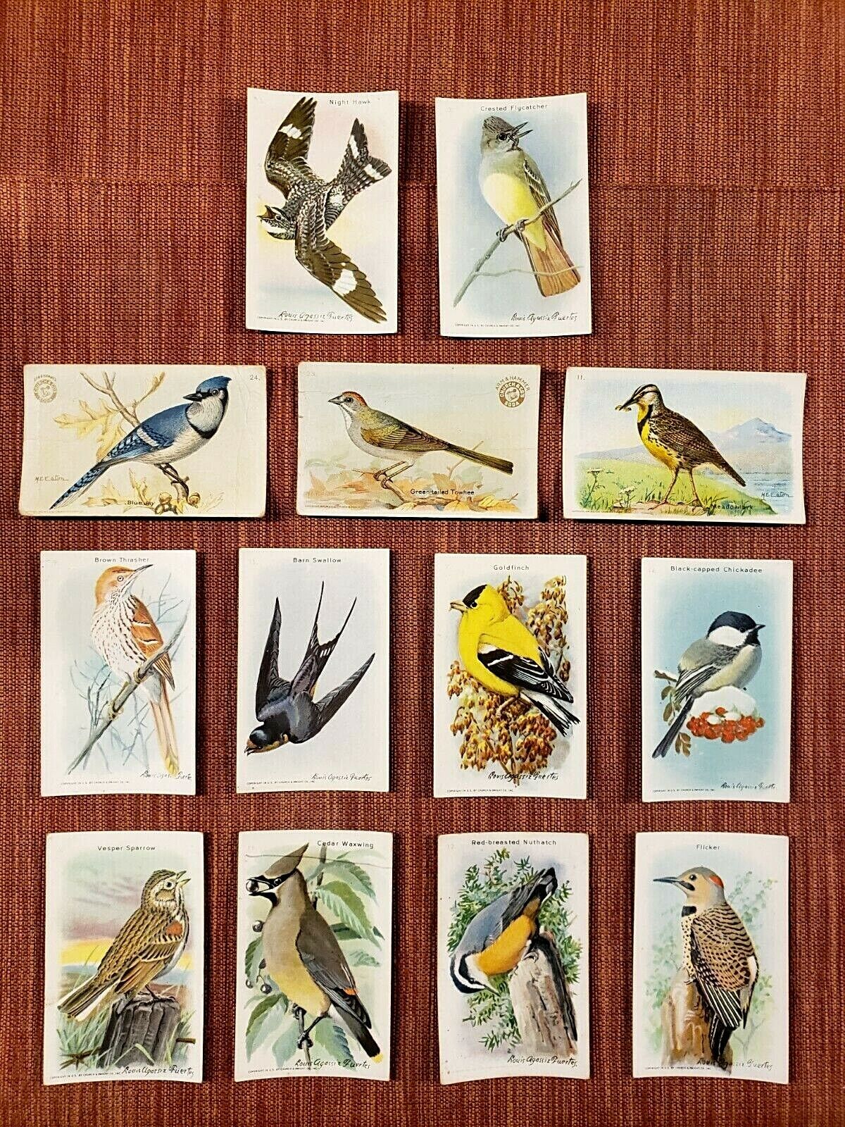 1918-38 ARM & HAMMER USEFUL BIRDS OF AMERICA LOT OF 13 BLUE JAY TOWHEE GOLDFINCH