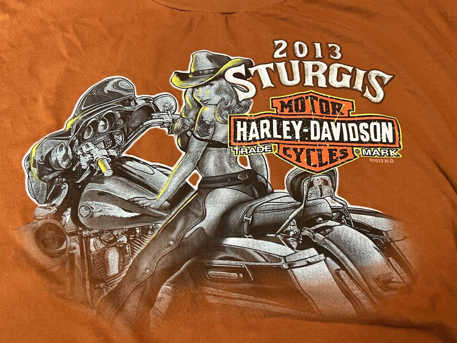 Official 2013 Harley Davidson Sturgis Black Hills South Dakota Men\'s XL NWOT