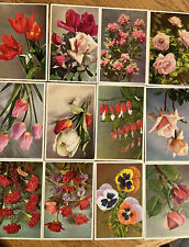 Unused Alfred Mainzer postcard set flowers picture