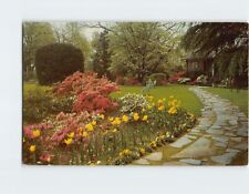 Postcard Springtime in the South Dillon South Carolina USA picture