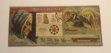 1950’s Ripley’s Believe It or Not Newspaper Comic Strip “Yellow Jack Cat” picture