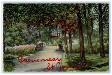 1912 Exterior Trees Park Scene Near St. James Minnesota Vintage Antique Postcard picture