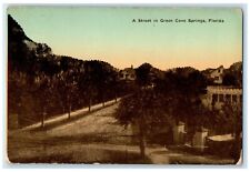 1914 A Street In Green Cove Springs Florida FL, Dirt Road Antique Postcard picture