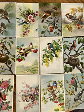 Unused Alfred Mainzer postcard set birds picture
