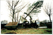 Tree transplanting - Vintage Photograph 1990080 picture